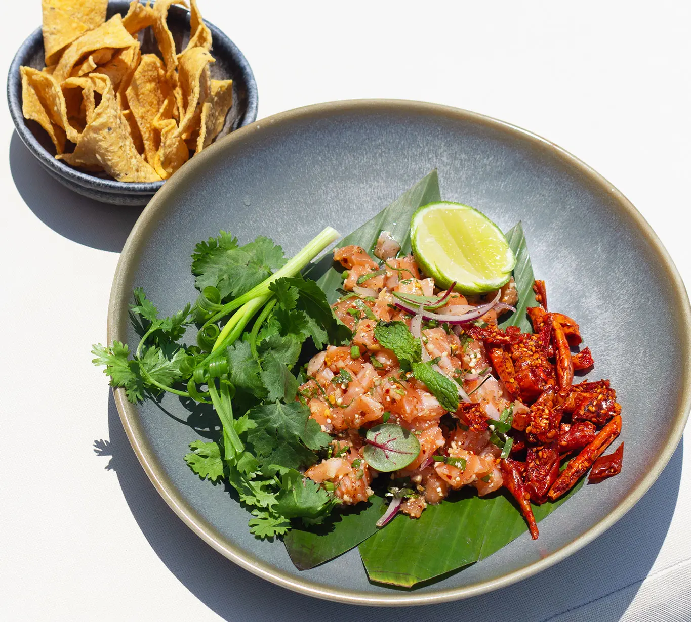 salmon laarb