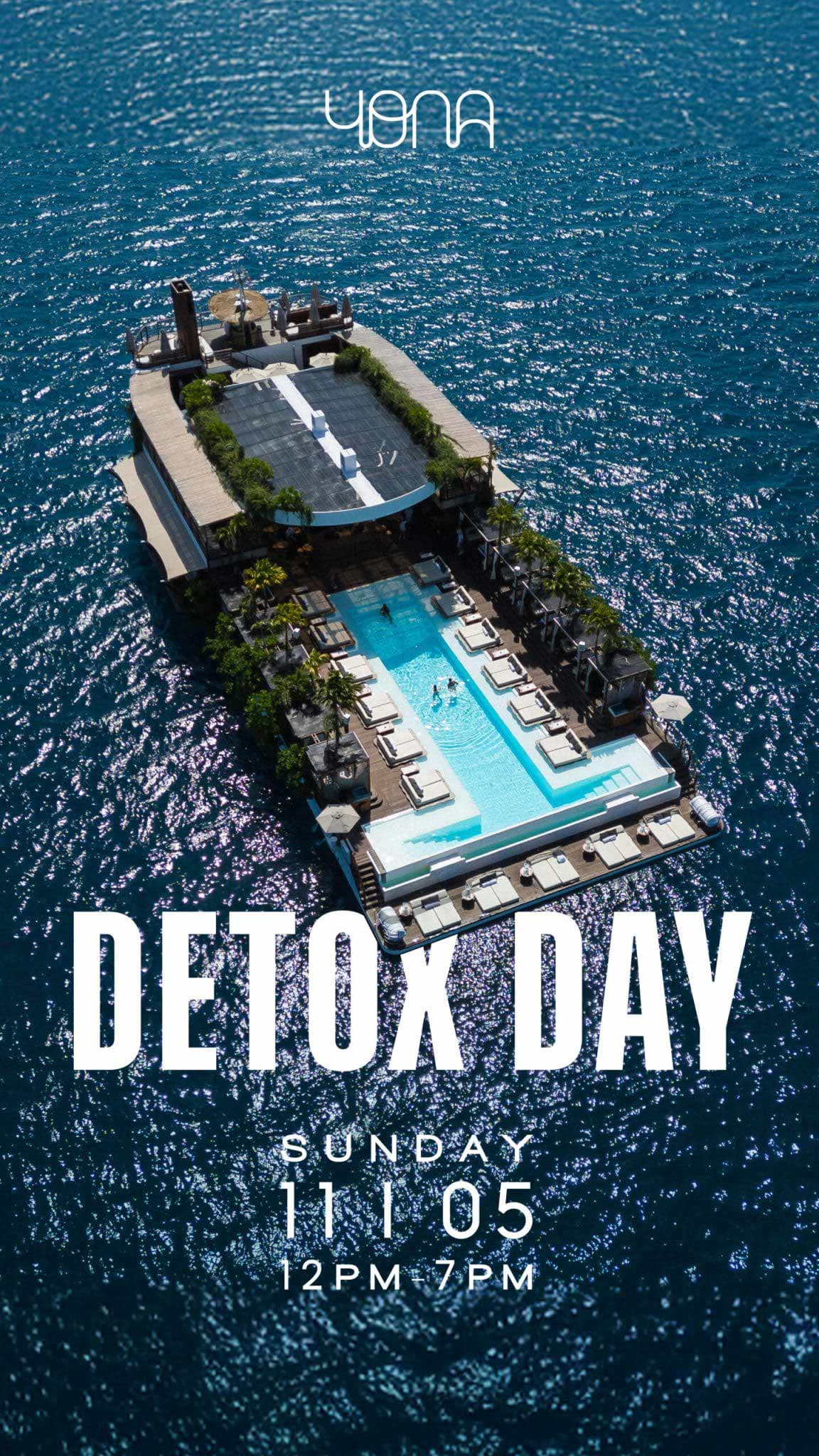Detox Day 11 05 Visuals